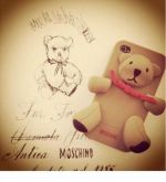 Case Urso 3d